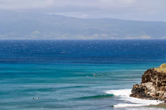 Casombie Casino Suporte